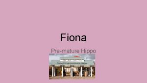 Fiona Premature Hippo Vocabulary to know Premature Too