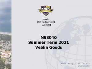 NS 3040 Summer Term 2021 Veblin Goods Overview