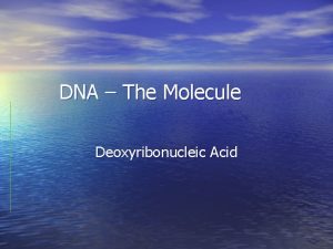 DNA The Molecule Deoxyribonucleic Acid Deoxyribonucleic Acid DNA