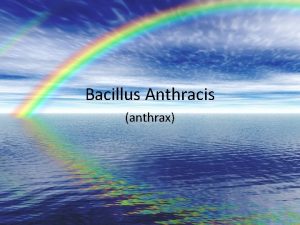 Bacillus Anthracis anthrax Cutaneous Cutaneous anthrax occurs when