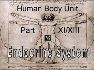 Human Body Unit Part XIXIII Human Body Unit