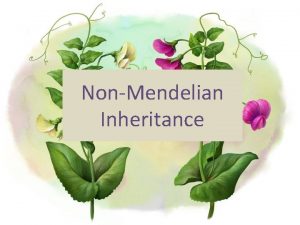 NonMendelian Inheritance Introduction to NonMendelian Inheritance https www