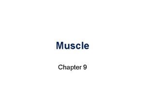 Muscle Chapter 9 Topics Muscle Cell Types Skeletal