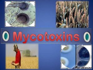 Mycotoxins Myco of fungal origin toxic substances produced