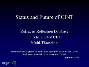 Status and Future of CINT Reflex as Reflection