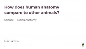 How does human anatomy compare to other animals