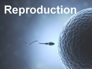 Reproduction Reproduction The process by which organisms generate