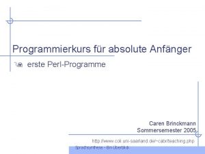Programmierkurs fr absolute Anfnger erste PerlProgramme Caren Brinckmann