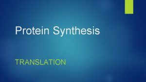 Protein Synthesis TRANSLATION Transcription Over view Transcription The