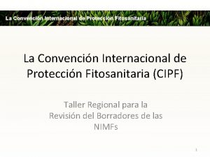 La Convencin Internacional de Proteccin Fitosanitaria CIPF Taller