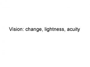 Vision change lightness acuity Role of visual edges