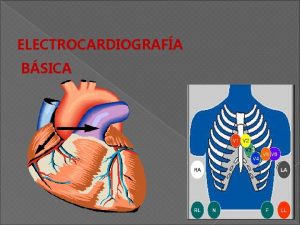 ELECTROCARDIOGRAFA BSICA GENERALIDADES Descubierto por Einthoven Con limitaciones