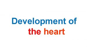 Development of the heart Development of the heart