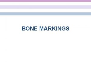 BONE MARKINGS Bone Projections Process raised area Olecranon