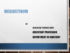 MEDIASTINUM BY DR BERLINA TERRENCE MARY ASSISTANT PROFESSOR