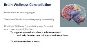 Brain Wellness Constellation The Brain is an amazing