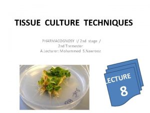 TISSUE CULTURE TECHNIQUES PHARMACOGNOSY I 2 nd stage