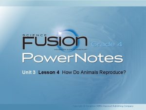 Unit 3 Lesson 4 How Do Animals Reproduce