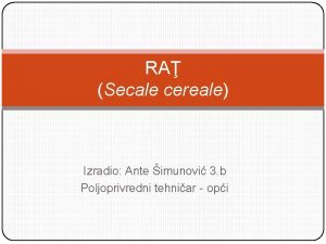 RA Secale cereale Izradio Ante imunovi 3 b