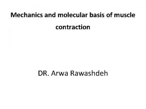 Mechanics and molecular basis of muscle contraction DR