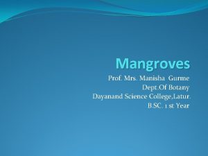Mangroves Prof Mrs Manisha Gurme Dept Of Botany