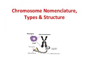 Chromosome Nomenclature Types Structure Chromosomes The term chromosome