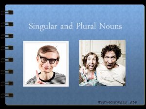 Singular and Plural Nouns Walsh Publishing Co 2009
