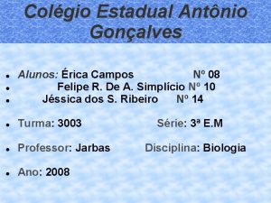 Colgio Estadual Antnio Gonalves Alunos rica Campos N