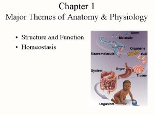 Chapter 1 Major Themes of Anatomy Physiology Structure