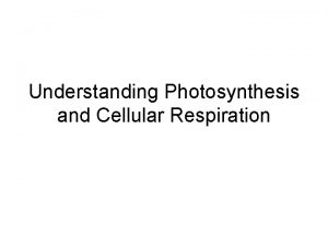 Understanding Photosynthesis and Cellular Respiration Photosynthesis and cellular