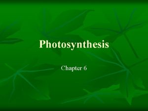 Photosynthesis Chapter 6 Equation for Photosynthesis n n