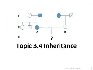 Topic 3 4 Inheritance 3 4 Theoretical Genetics