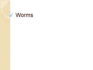 Worms Annelid Worms Annelid Worms Little Rings Annelids
