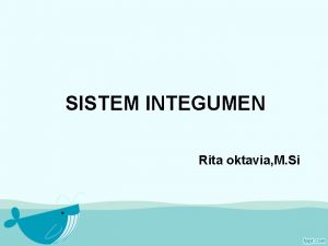 SISTEM INTEGUMEN Rita oktavia M Si KULIT SISTEM