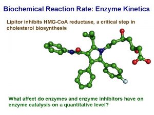 Biochemical Reaction Rate Enzyme Kinetics Lipitor inhibits HMGCo