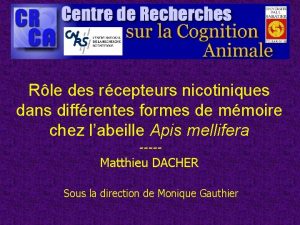 Rle des rcepteurs nicotiniques dans diffrentes formes de