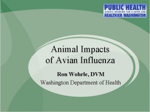 Animal Impacts of Avian Influenza Ron Wohrle DVM