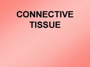 CONNECTIVE TISSUE I Bone Osseous Tissue A Composed