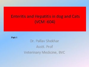 Enteritis and Hepatitis in dog and Cats VCM