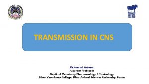 TRANSMISSION IN CNS Dr Kumari Anjana Assistant Professor