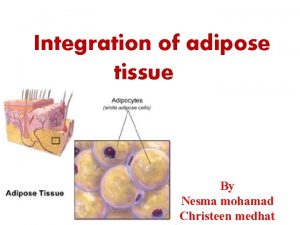 Integration of adipose tissue By Nesma mohamad Christeen