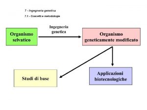 Concetti di base dellingengneria genetica tradizionale Vettore plasmidefago