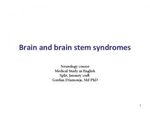 Brain and brain stem syndromes Neurology course Medical
