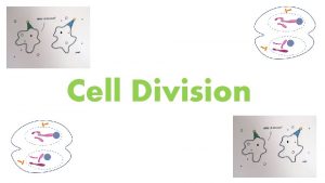 Cell Division Learning Intention To learn about genetic