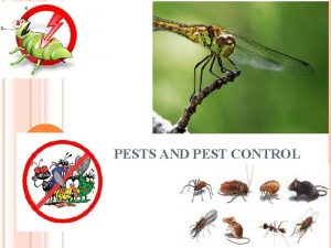 PESTS AND PEST CONTROL VOCABULARY Pest any organism