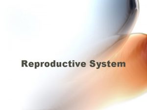 Reproductive System Functions of Reproductive System 1 Create