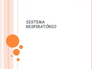 SISTEMA RESPIRATRIO Constituio Vias Respiratrias fossas nasais faringe