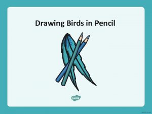 Drawing Birds in Pencil Drawing Birds Today you