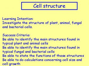 Cell structure Learning Intention Investigate the structure of