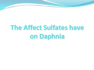 The Affect Sulfates have on Daphnia Purpose To